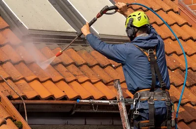 Démoussage et hydrofuge de toiture à l'Oie